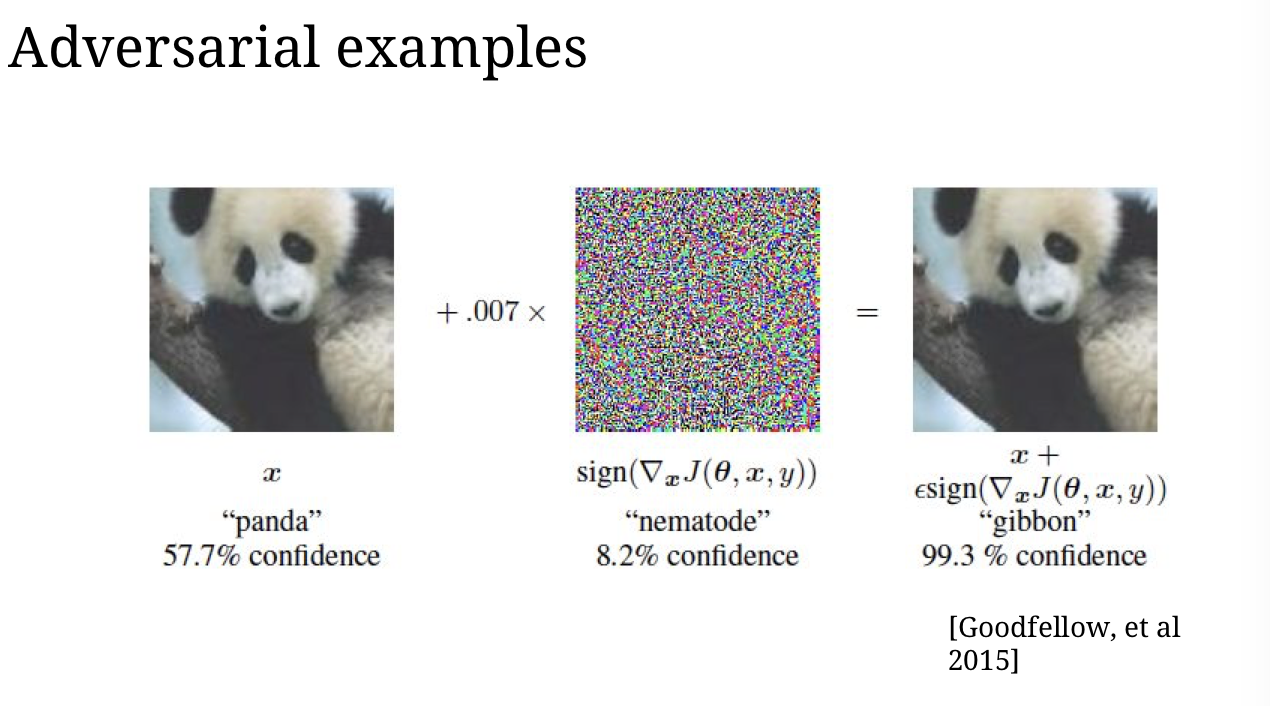 Adversarial Example