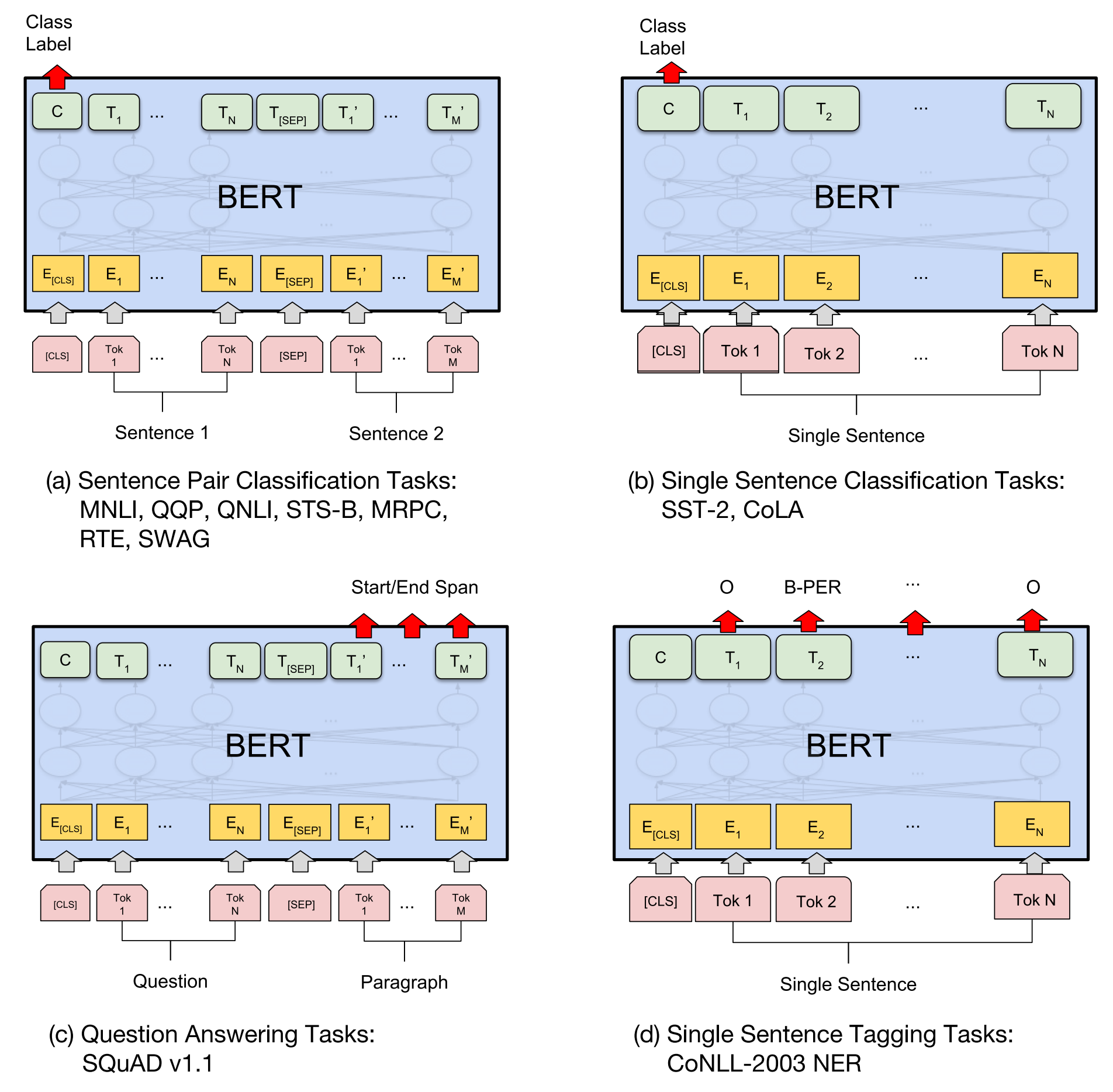 BERT Downstream Task
